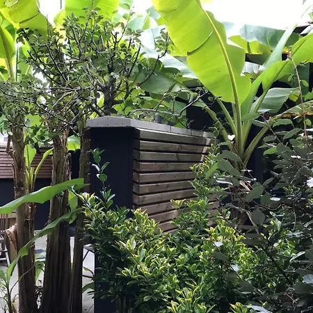 Tchankeklass 乐泰赫