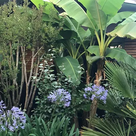 民宿 Tchankeklass *