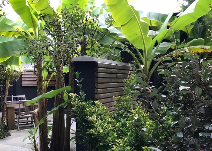 Tchankéklass Le Teich