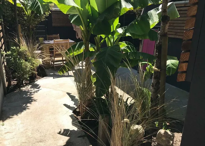 Tchankeklass 홈스테이 르테이