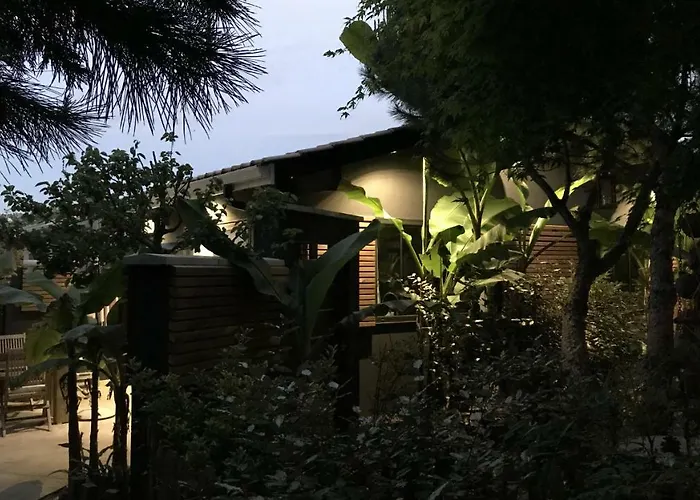 Tchankéklass * Le Teich