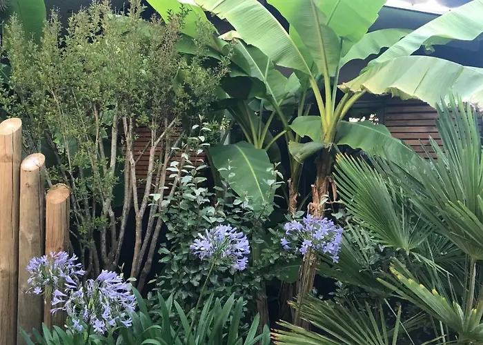 Habitación en casa particular Tchankéklass *